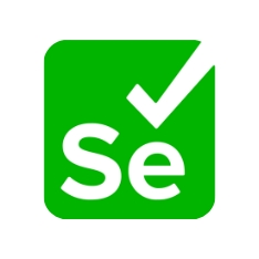 Auto Testing Selenium